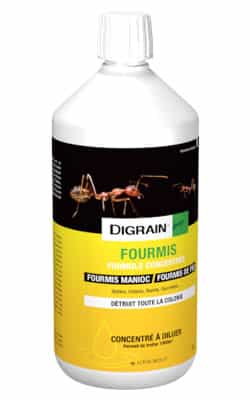 Digrain Pal Choc spray insecticide prêt à l'emploi pour tuer les cafards