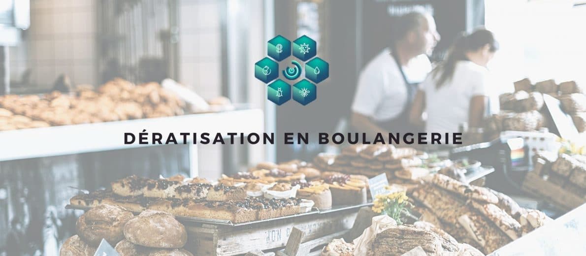 rats boulangerie