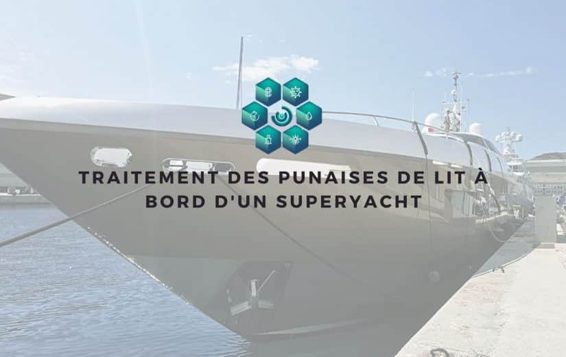 traiter rapidement des punaises de lit sur un yacht