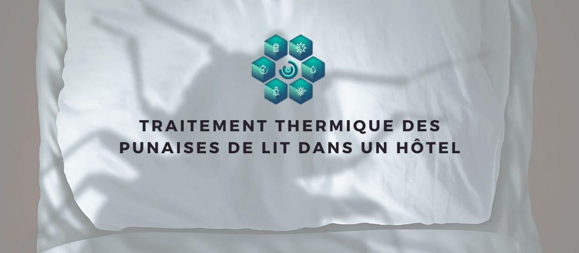 Traitement anti punaises de lit