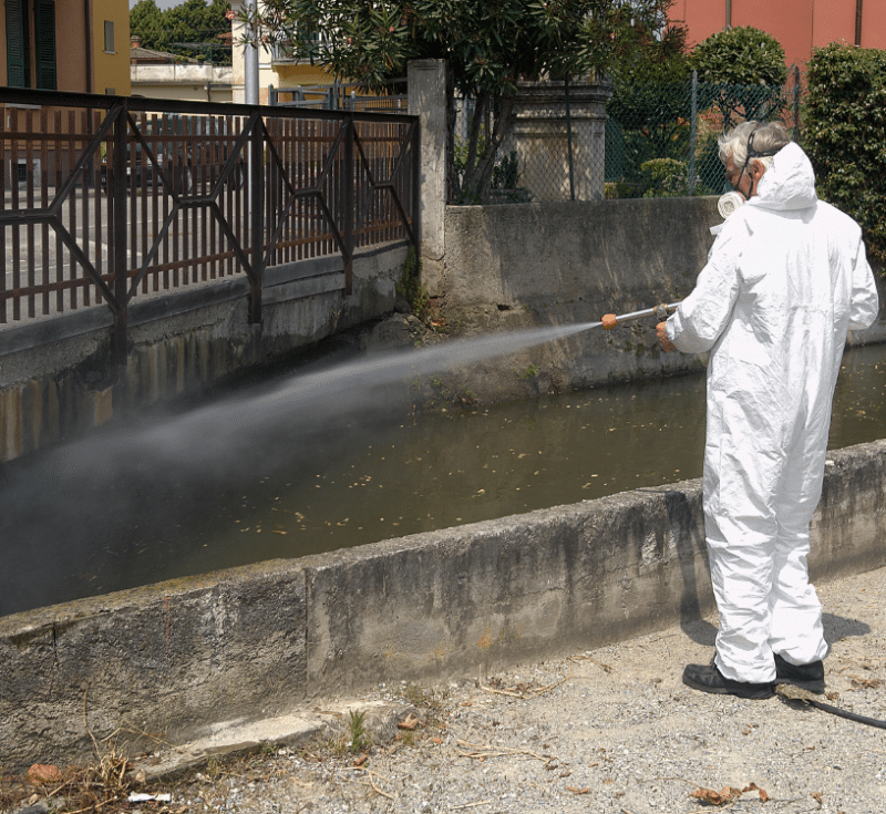 Désourisation : quelles solutions ?