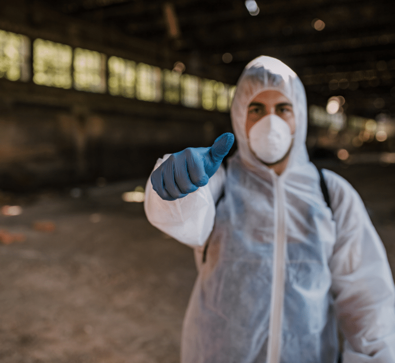 société dératisation sanary sur mer