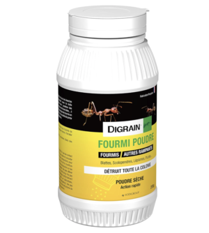 poudre anti fourmi