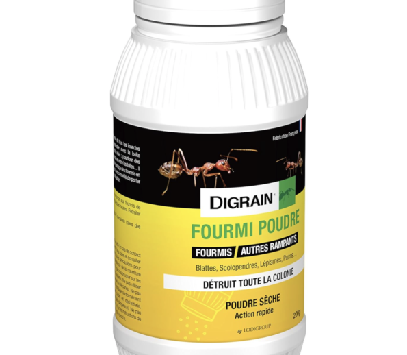 poudre anti fourmi