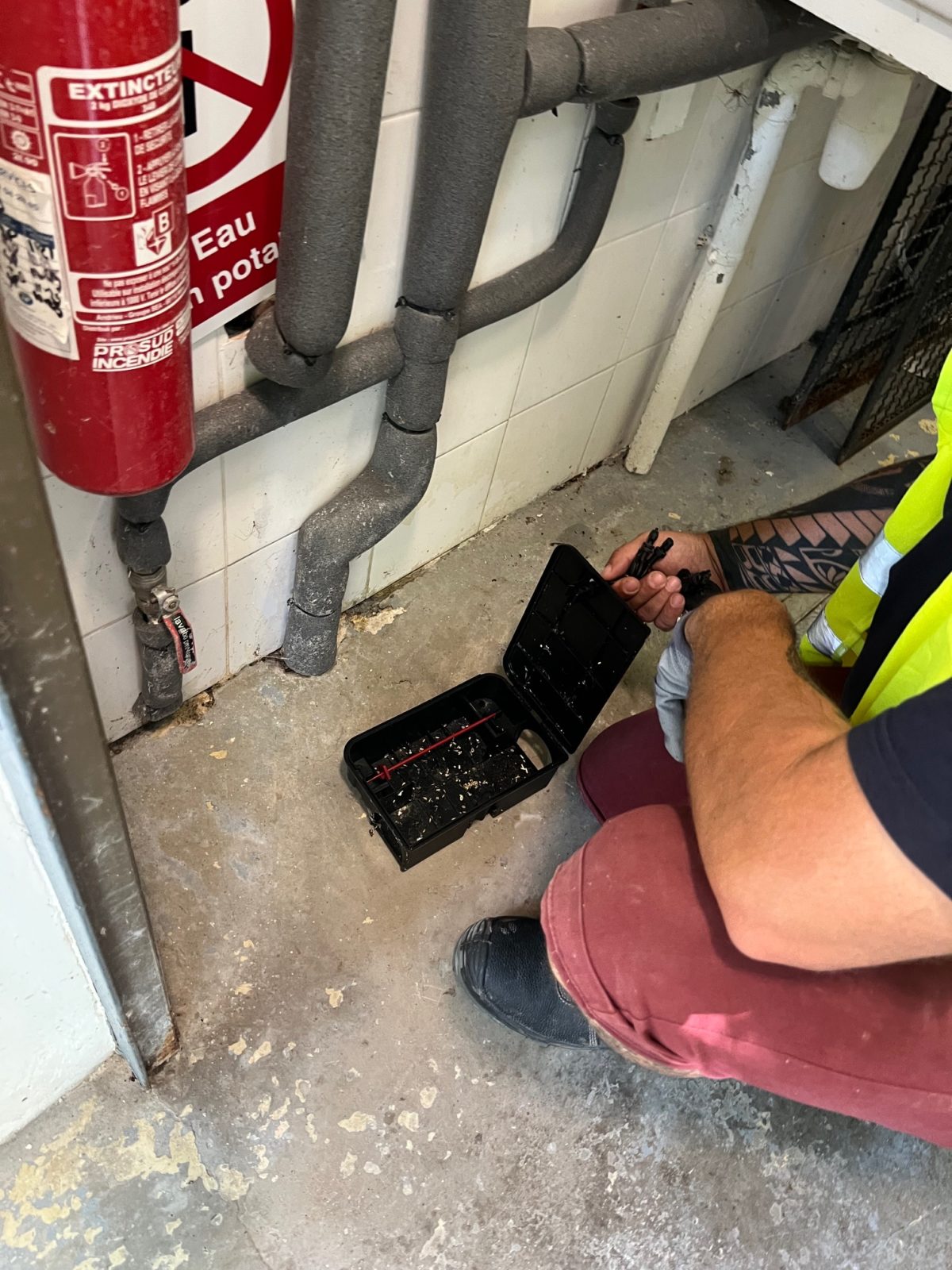 dératiseur sanary sur mer