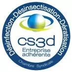 CS3D