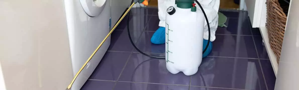 Traitement nébulisation
