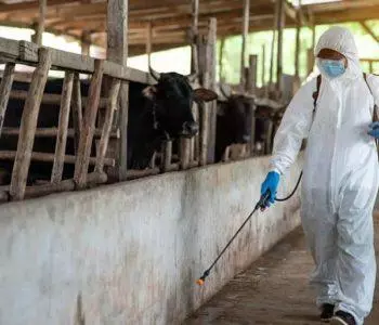 Dératisation Désinfection Désinsectisation chez les Agriculteurs