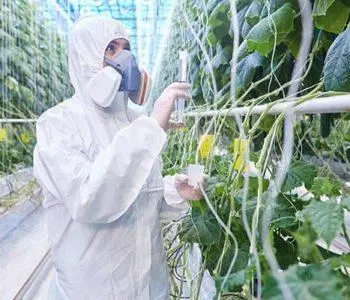 Industrie Agro alimentaires