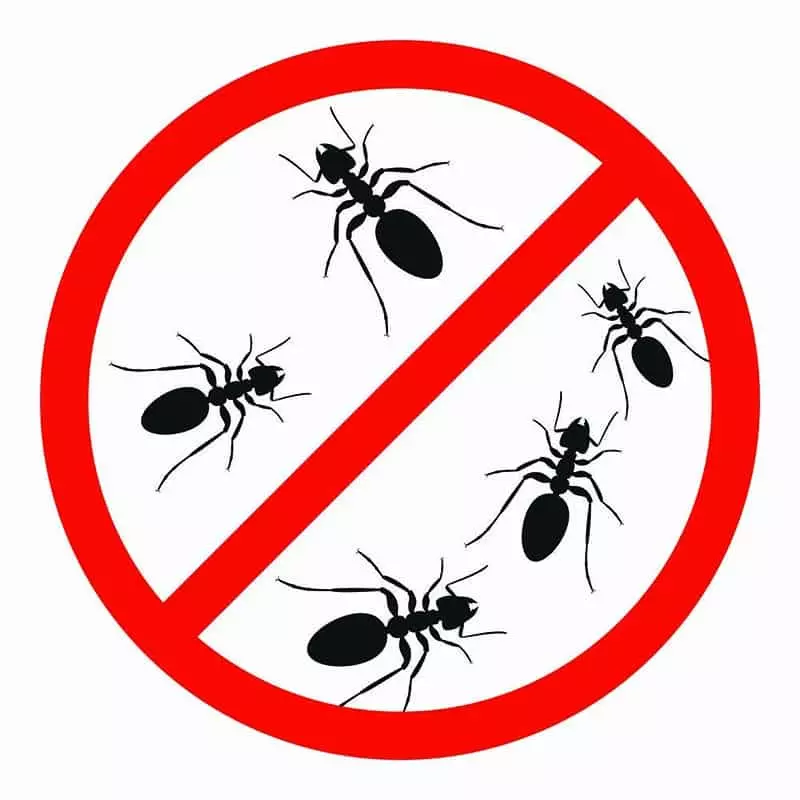 Le pack prévention anti fourmis