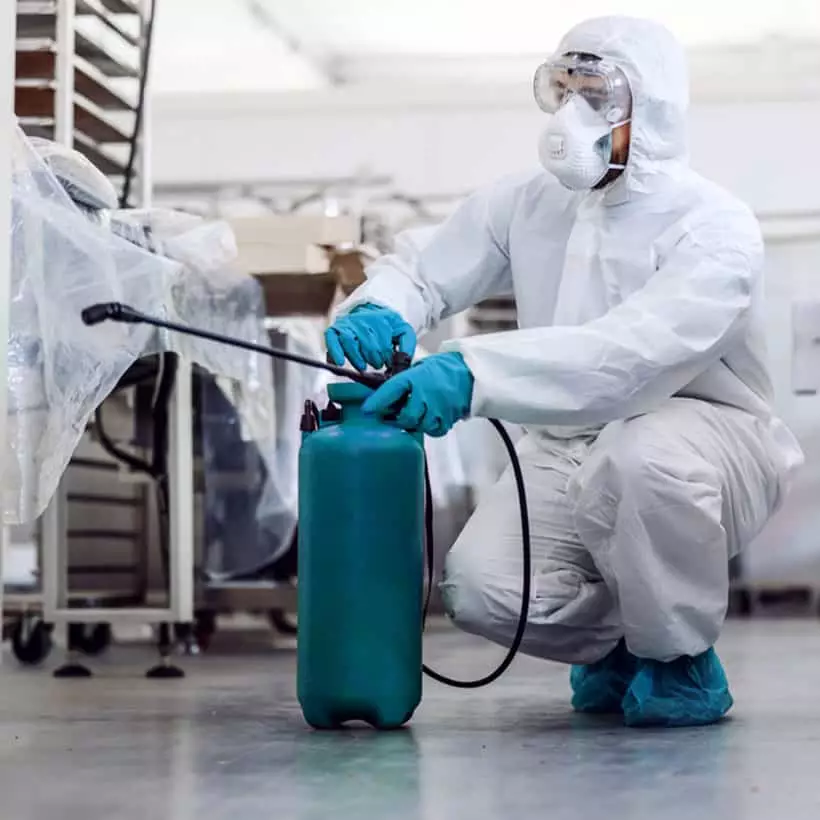 Traitement par insecticide chimique ou naturel