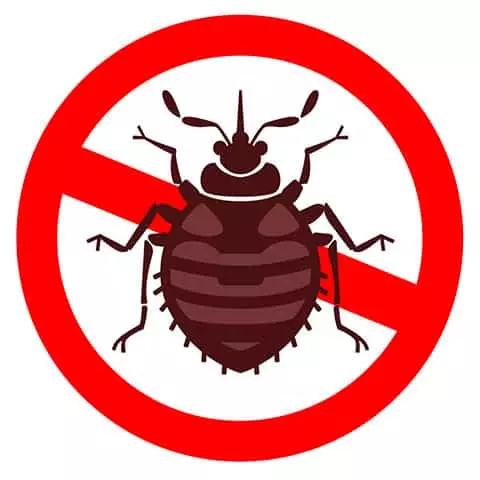Stop punaises de lit