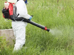 Quel est le prix pour traiter un nid de moustiques ?